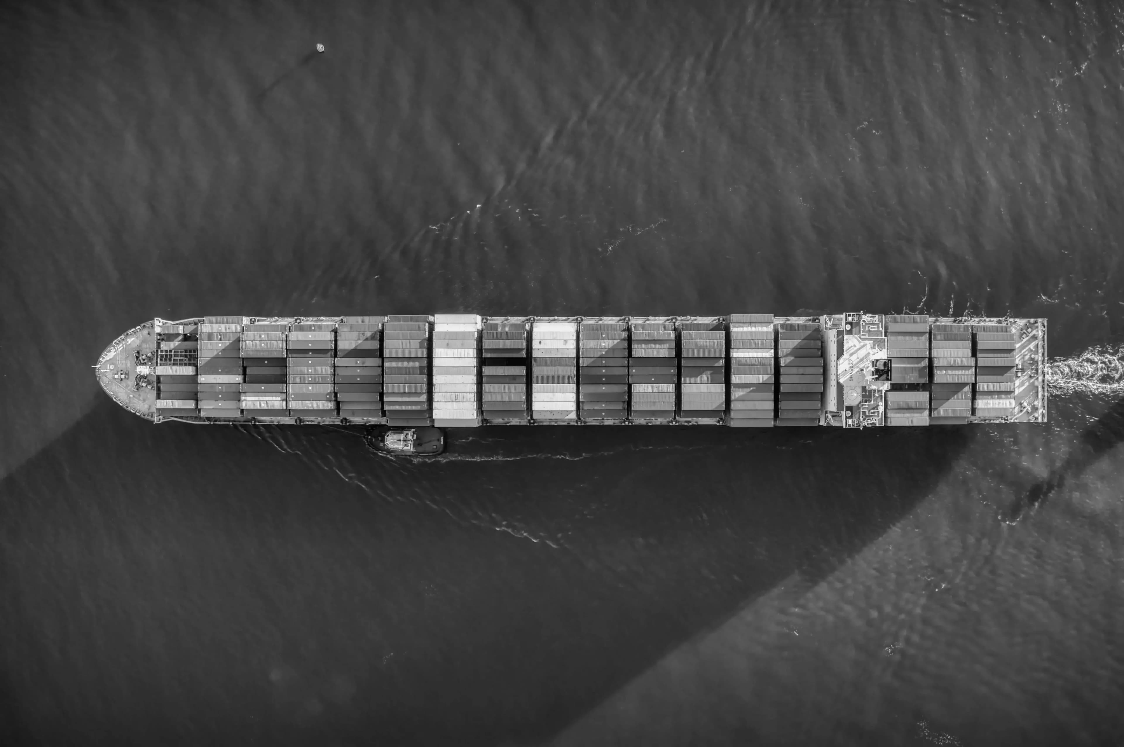 We help you navigate the complex rules and policies of cross-border trade and investment.